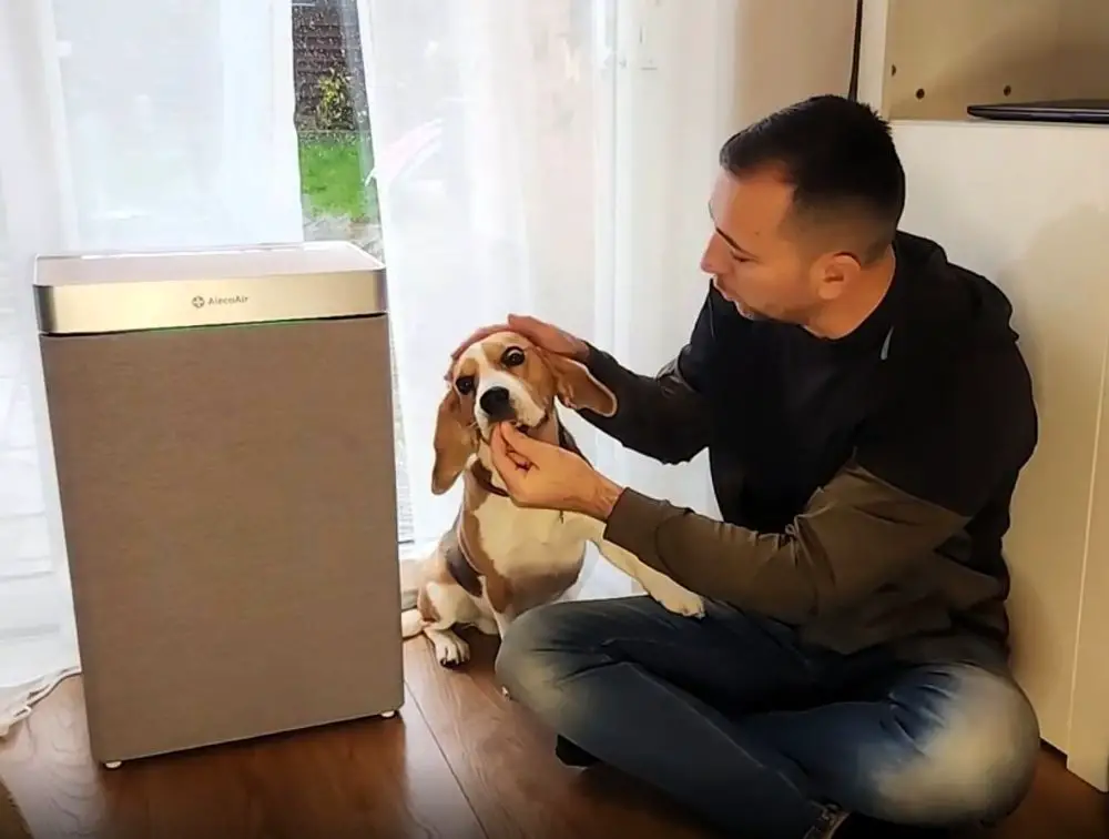 cel mai bun purificator pentru apartamente mici