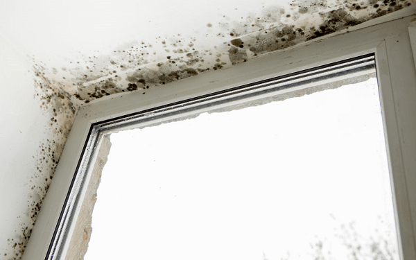 mucegai pe langa geam in casa Blogdeinstalatii