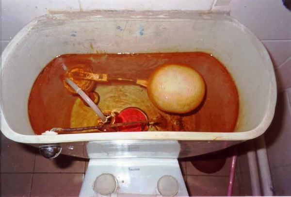 rezervor wc cu bacterii de fier